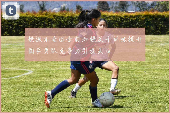 樊振东全运会前加强反手训练提升国乒男队竞争力引发关注