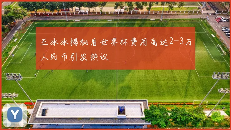 王冰冰揭秘看世界杯费用高达2-3万人民币引发热议