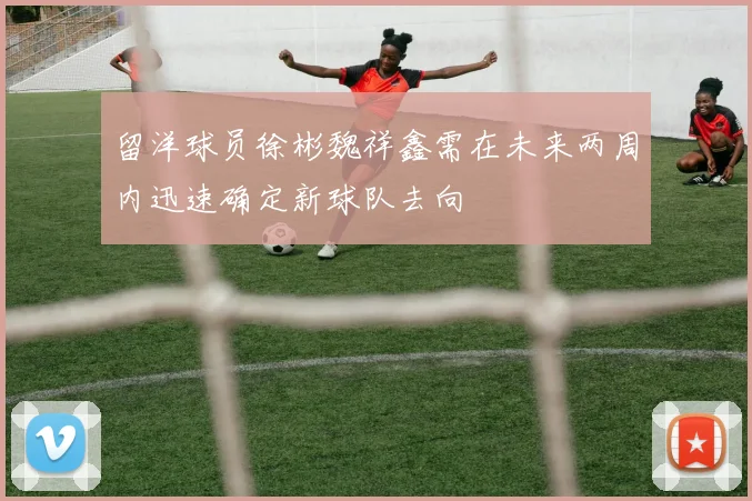 留洋球员徐彬魏祥鑫需在未来两周内迅速确定新球队去向